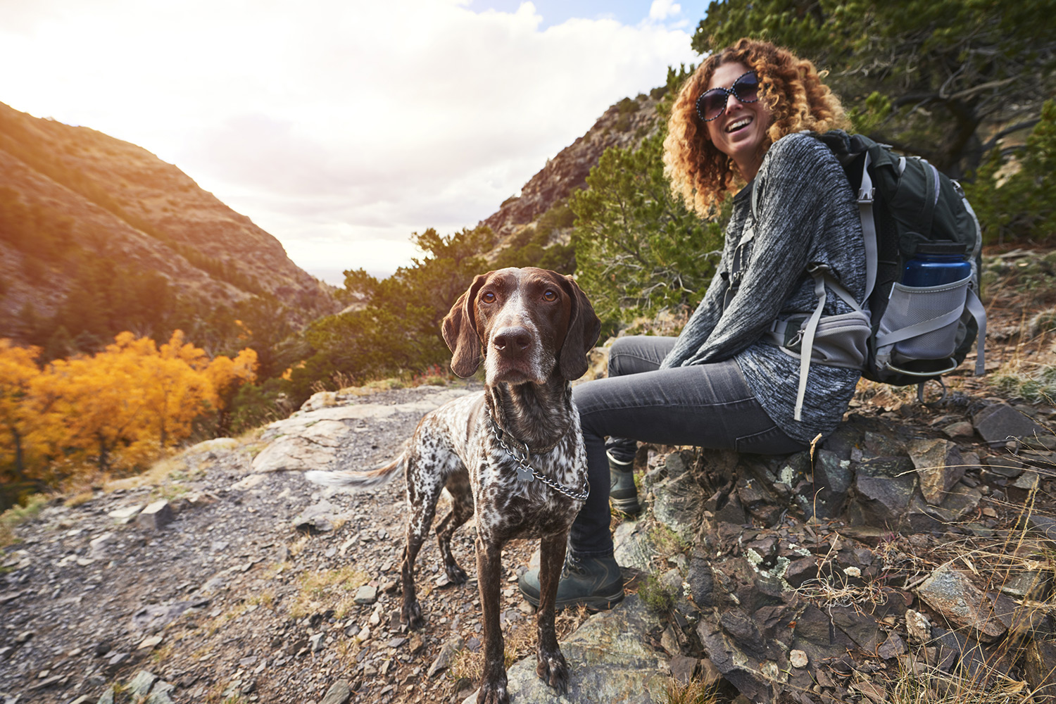 What To Bring When Hiking With A Dog Dog Friendly Hikes To Do This